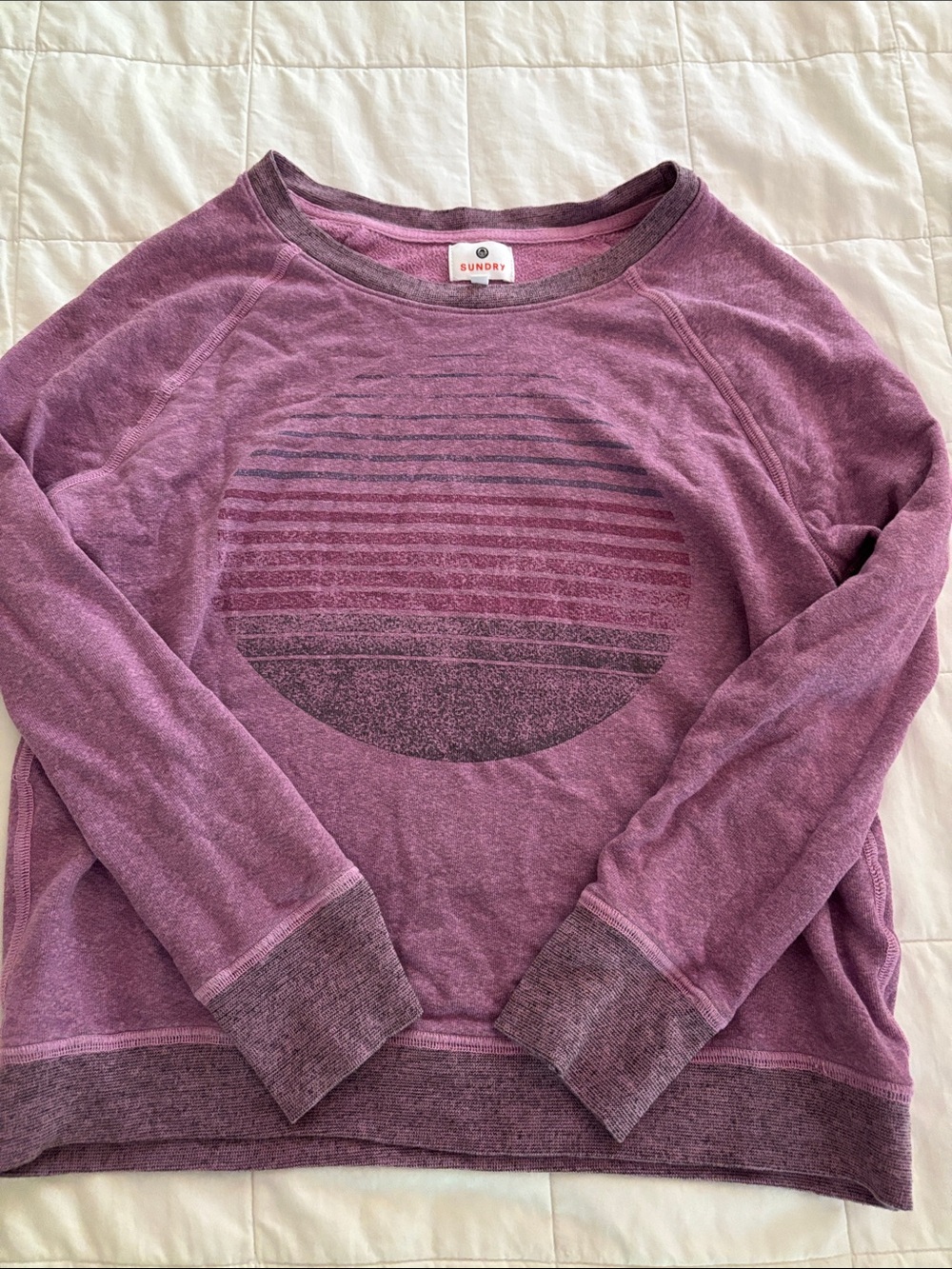 Sundry Purple Striped Circle Pullover Sweatshirt